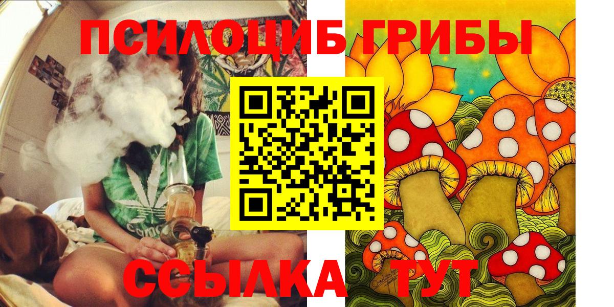 Псилоцибиновые грибы MAGIC MUSHROOMS  Вход с VPN  купить наркотик  Псилоцибиновые грибы Psilocybine cubensis  Зерноград 