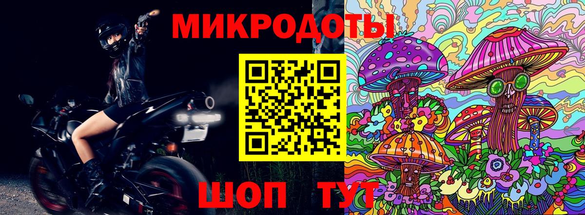 Псилоцибиновые грибы мицелий Зерноград